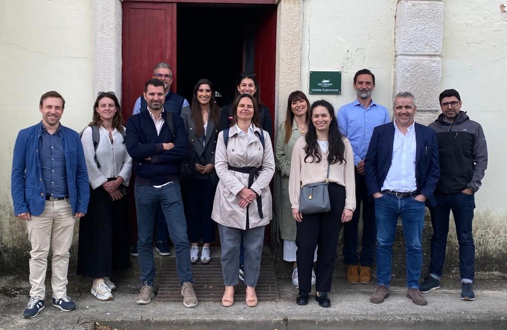 Reunião Embalagem do Futuro