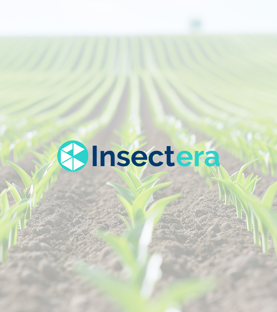 Projeto Insectera